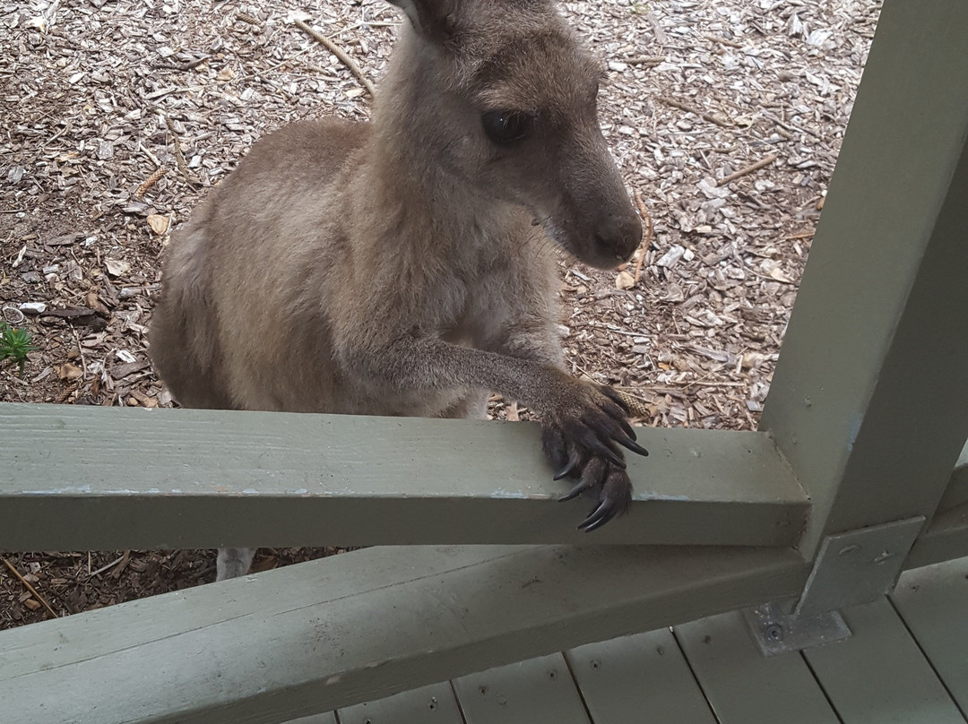 穆拉美人海滨自然度假村主图