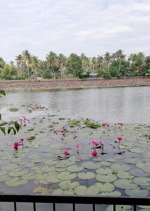 Backwater Brook Resort主图