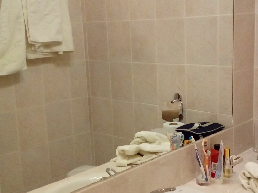 Ambasador Hotel Chojny主图