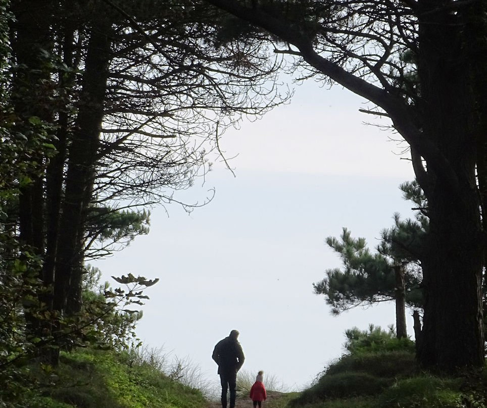 The Raven Nature Reserve-Curracloe必去景点