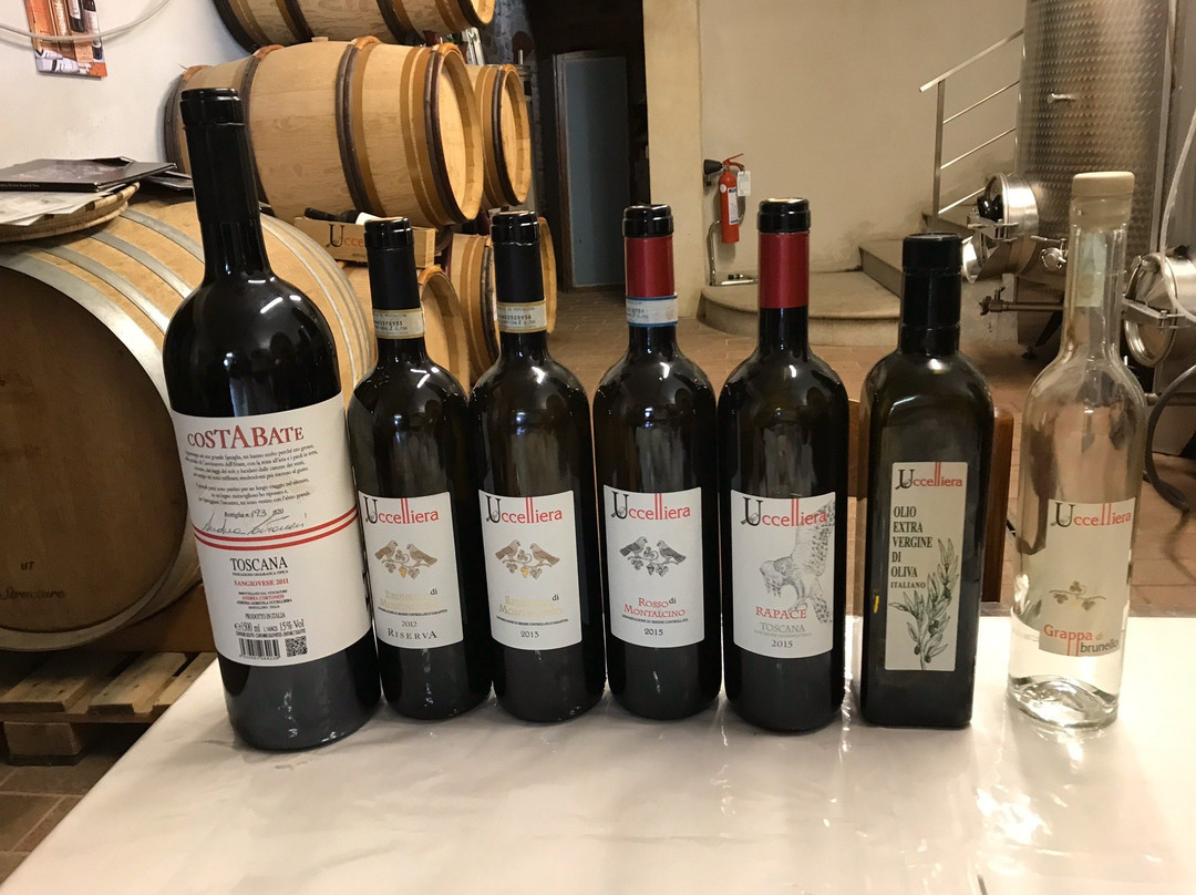 Azienda Agricola Uccelliera-蒙塔尔奇诺必去景点