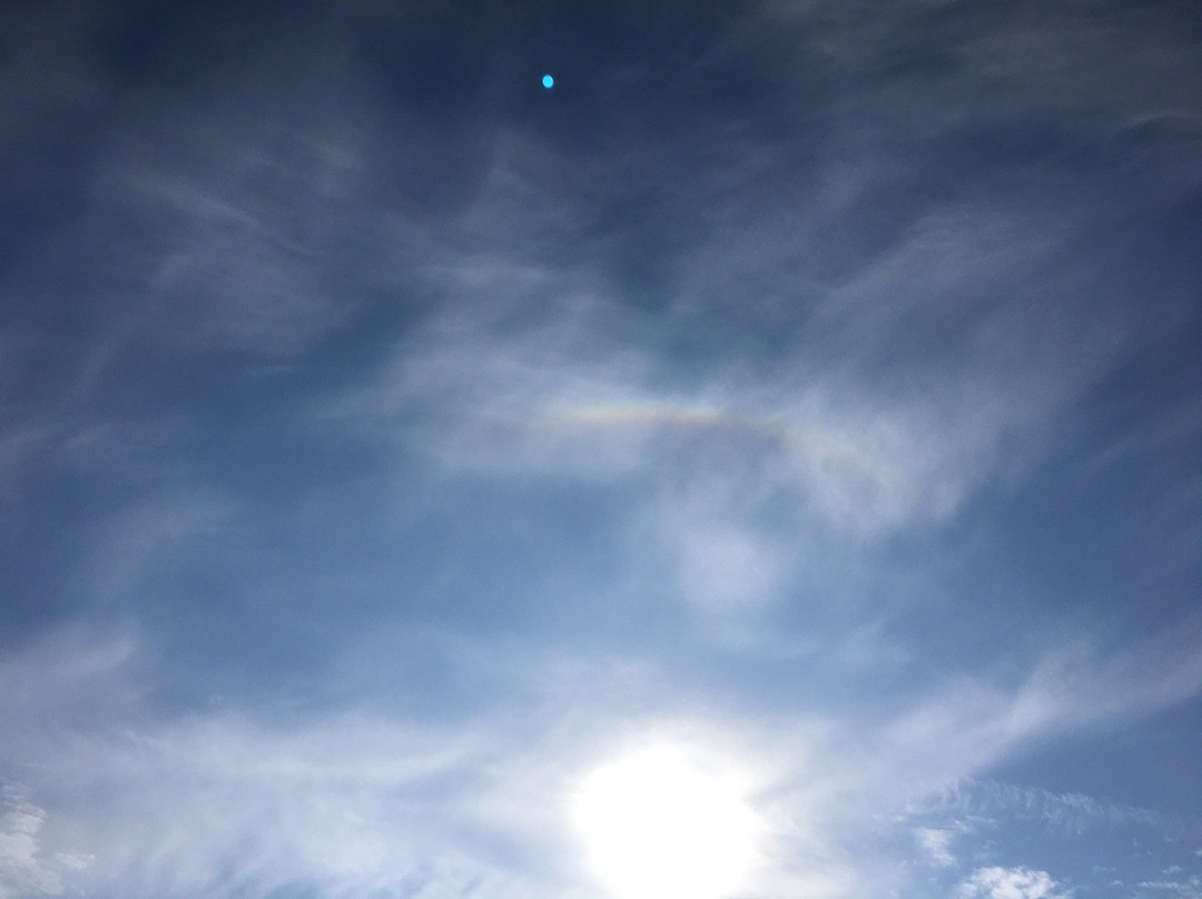 Kyoshinji Temple-加古川市必去景点