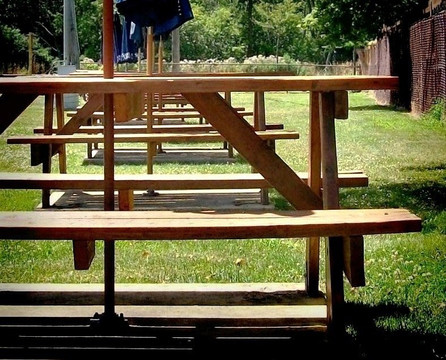 Elmwood Park旅游攻略图片