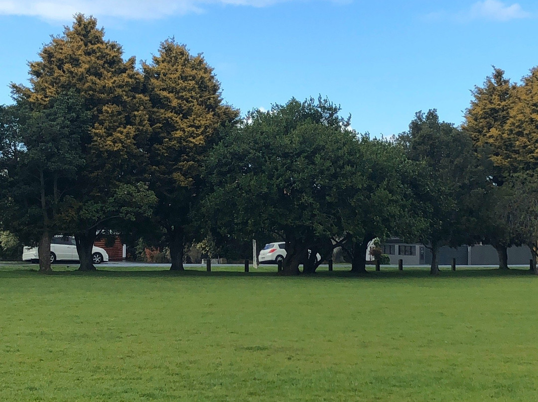 Point View Reserve-奥克兰中心地区必去景点