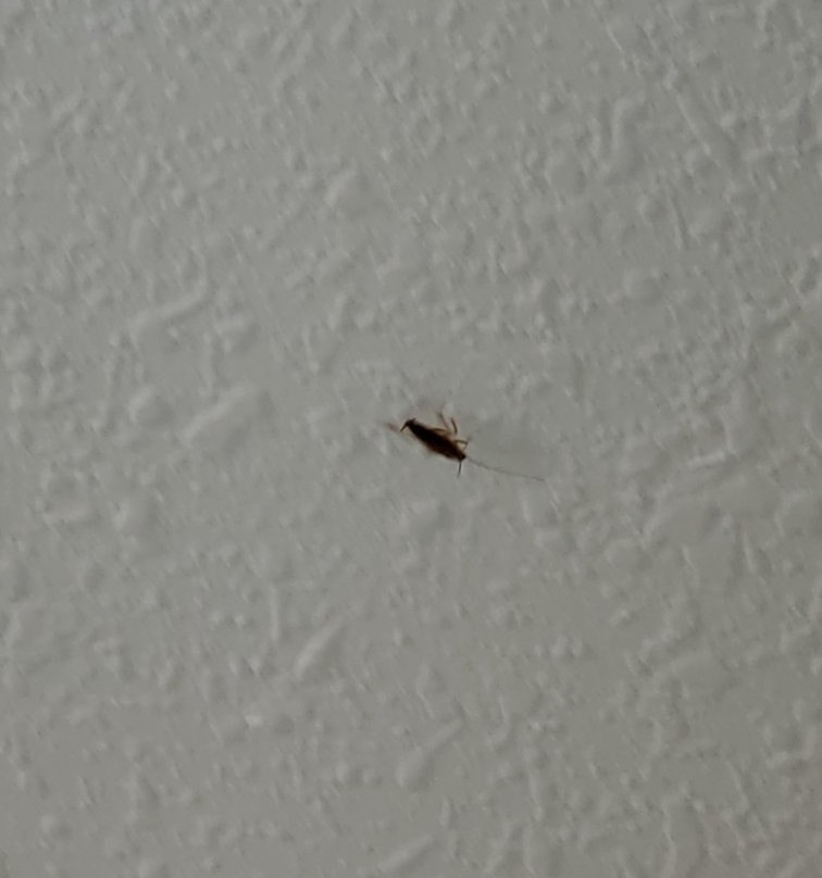 Quality Inn & Suites Port Arthur - Nederland主图