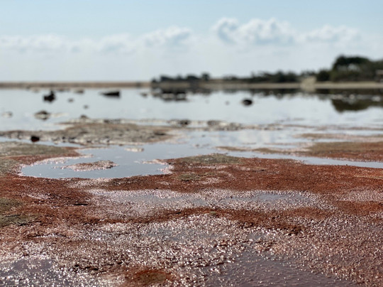 Pink Lagoon-Chabahar必去景点