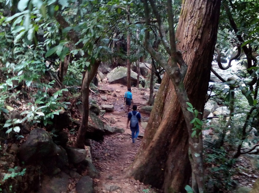 Vazhvanthol Waterfalls-提卢湾安塔普兰（特里凡德伦）必去景点
