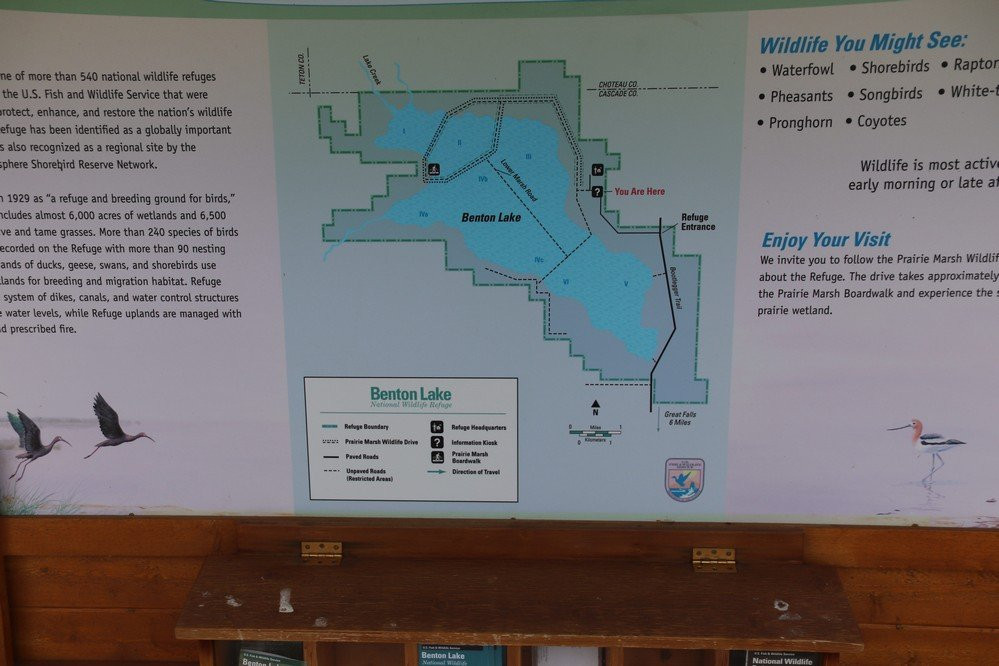 Benton Lake National Wildlife Refuge-大瀑布市必去景点