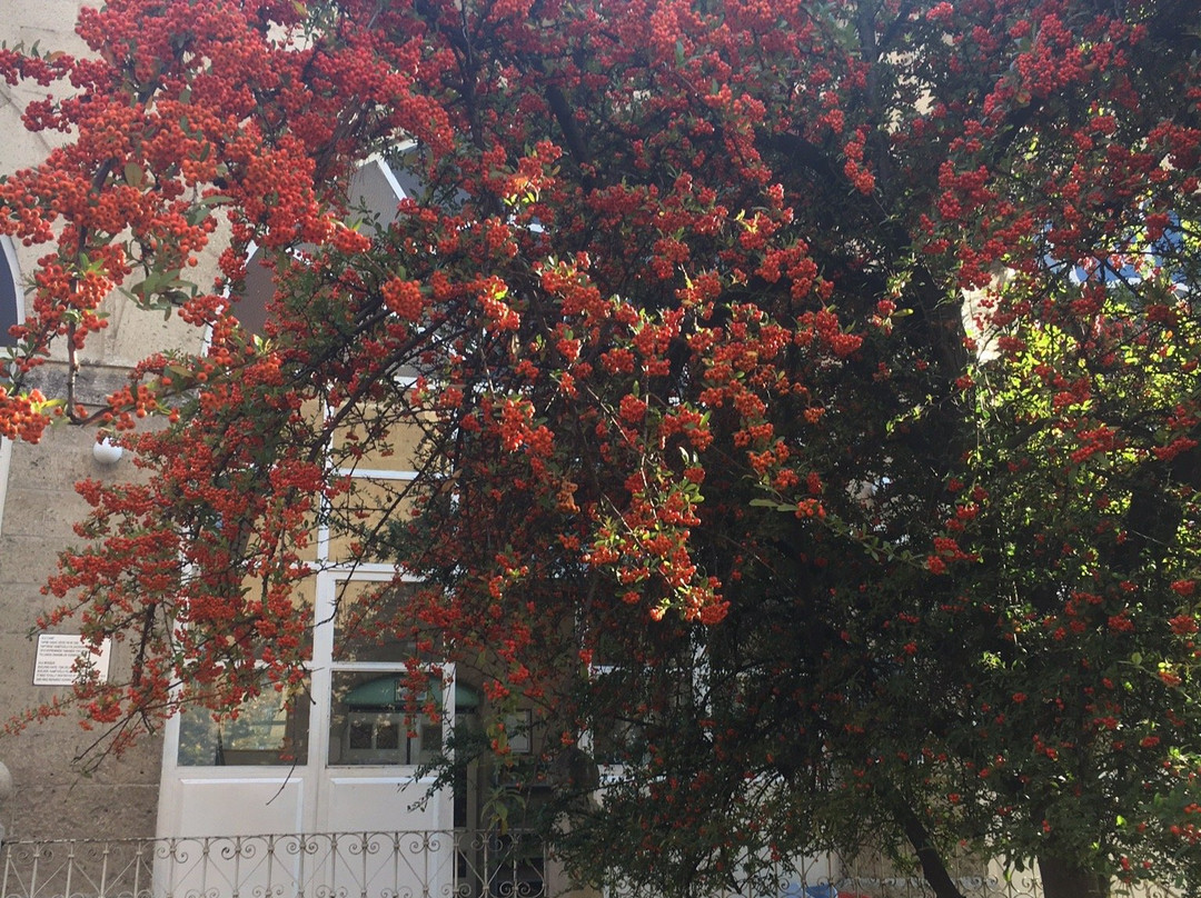 Burdur Saat Kulesi-Burdur必去景点