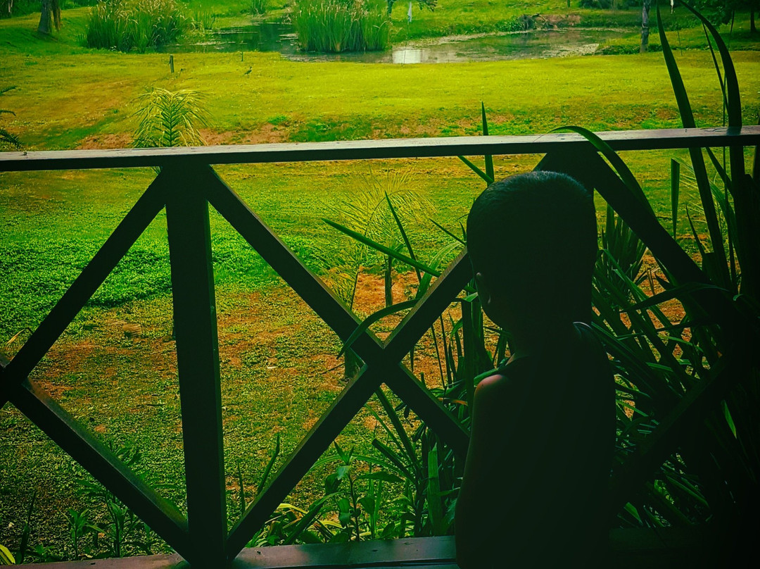 La Delfina Island Resort
