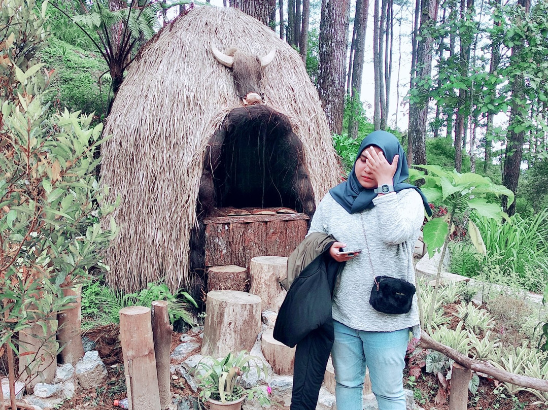 Puncak Lawang-武吉丁宜必去景点