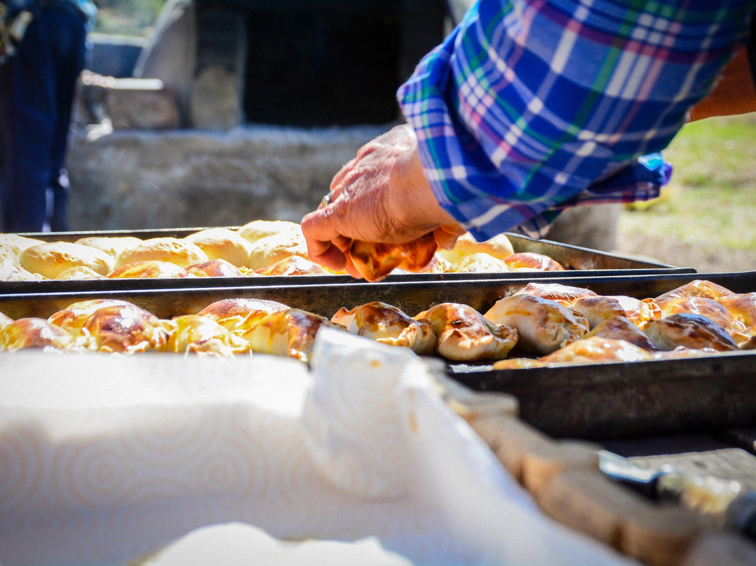 Experiencia Camprestre-San Carlos必去景点