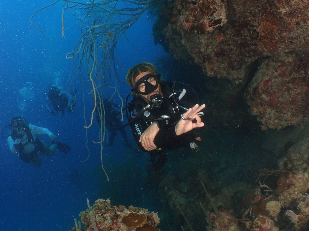 Sea Ventures Dive Center-法哈多必去景点