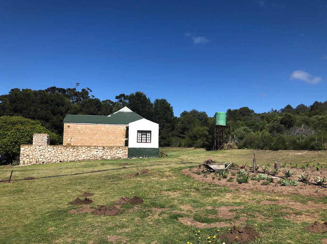 Botterkloof Resort主图