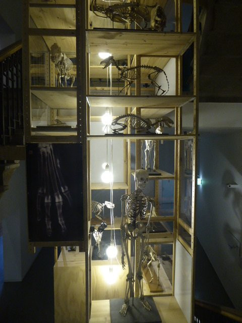 Universiteitsmuseum Utrecht-乌特勒支必去景点