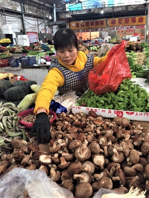 阳朔土产市场-阳朔县必去景点