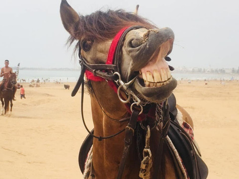 Essaouira Trip-索维拉必去景点