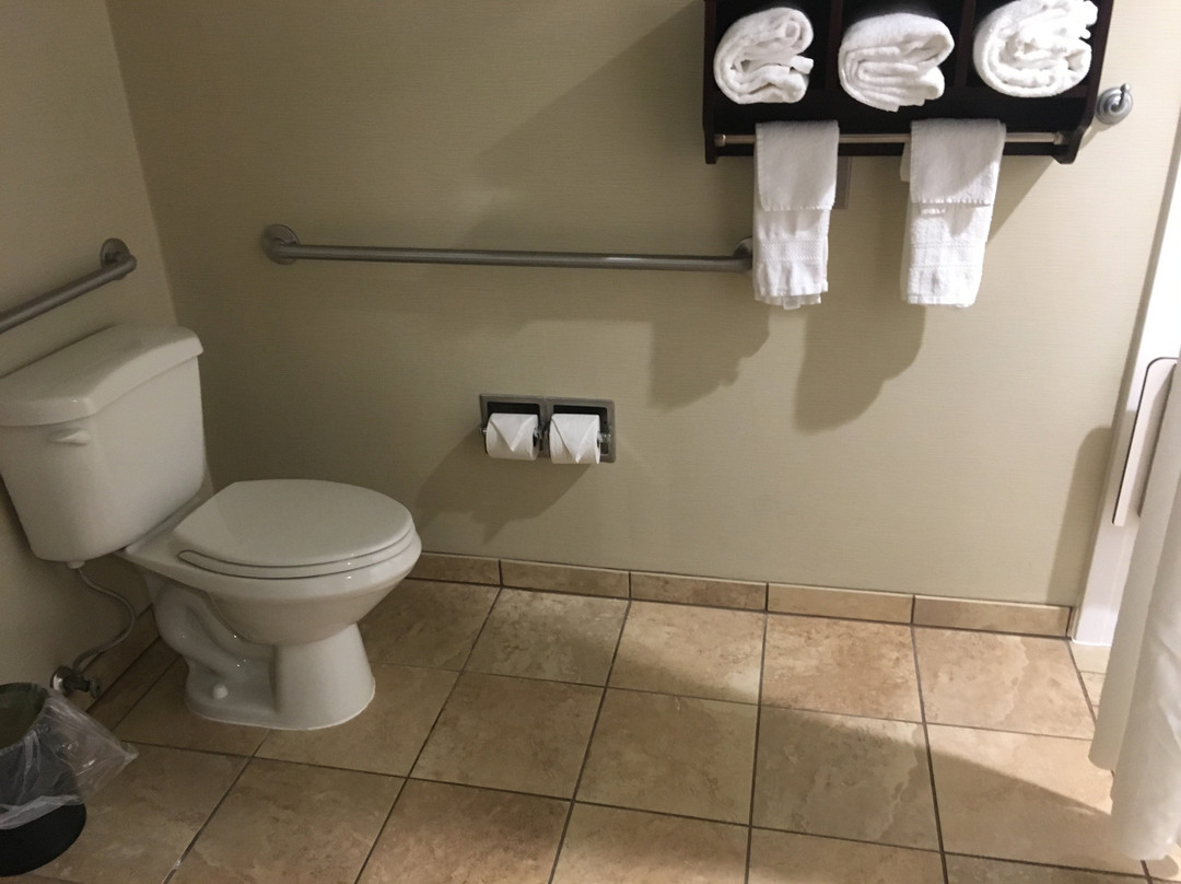 黑格斯敦欢朋酒店主图