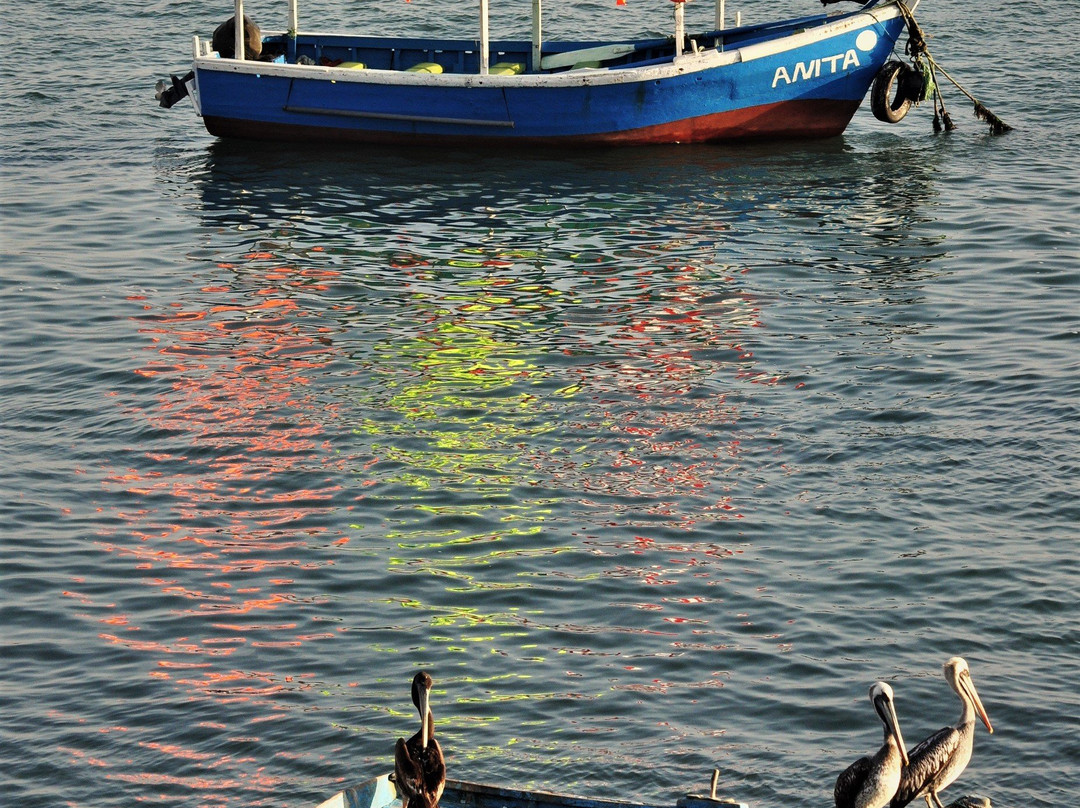 Playa Tortugas-Casma必去景点