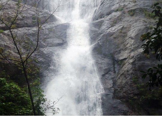 Palaruvi Falls景点图片