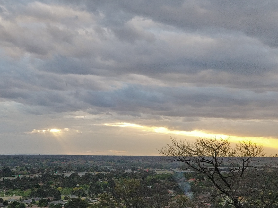 Wilson Botanic Park-伯威克必去景点