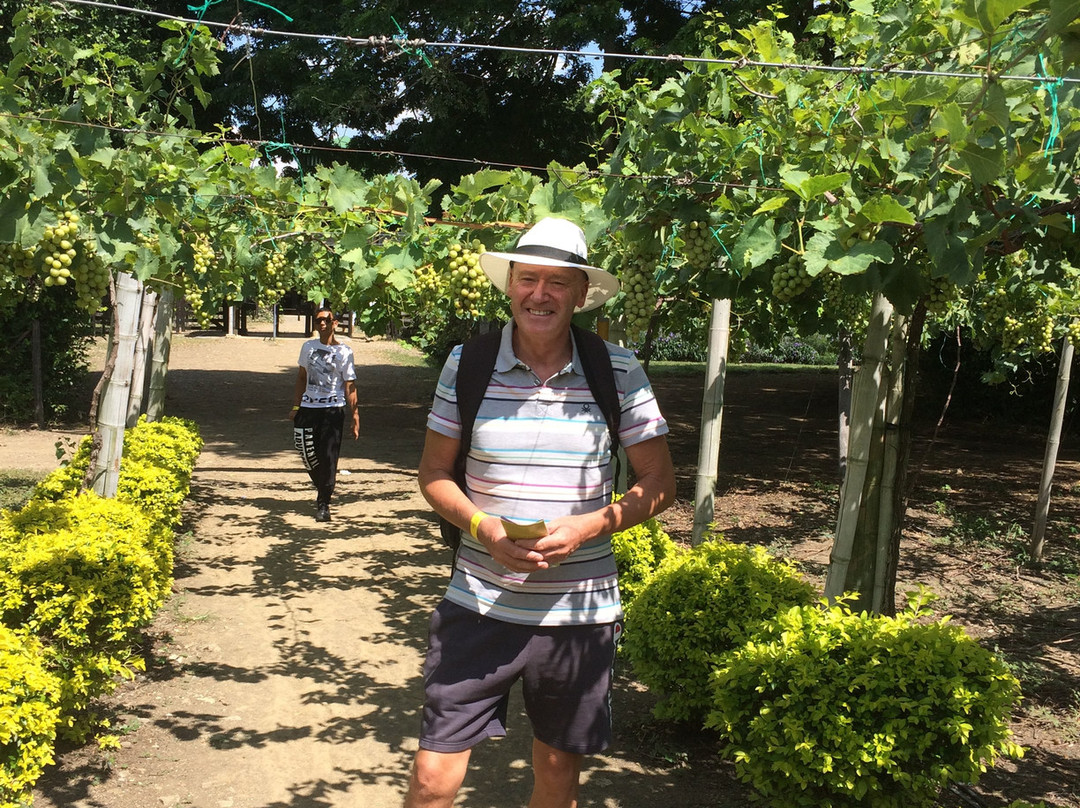 Parque nacional de la Uva-La Union必去景点