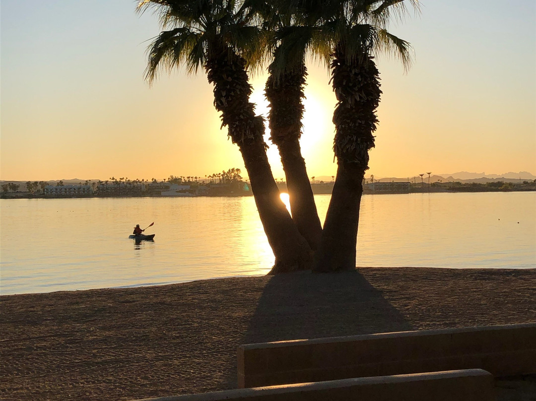 Havasu Memorial Walkway景点图片