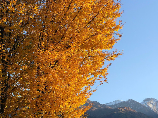 Klawunn Hotel & Apartment主图