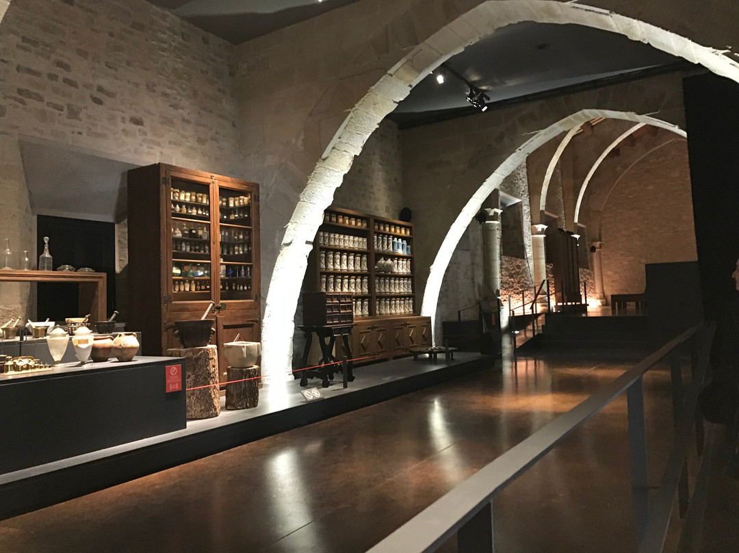 Monestir de Santa Maria de Vallbona景点图片