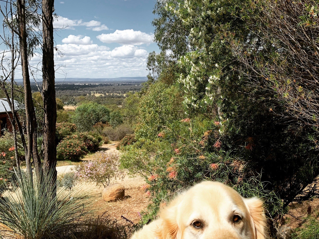 Morrisons of Glenrowan-Glenrowan必去景点