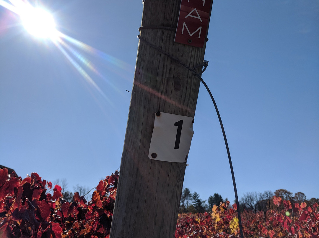 Tastings and Tours: Lehigh Valley - Berks County景点图片