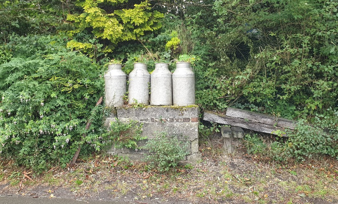 Sheepwash旅游攻略图片