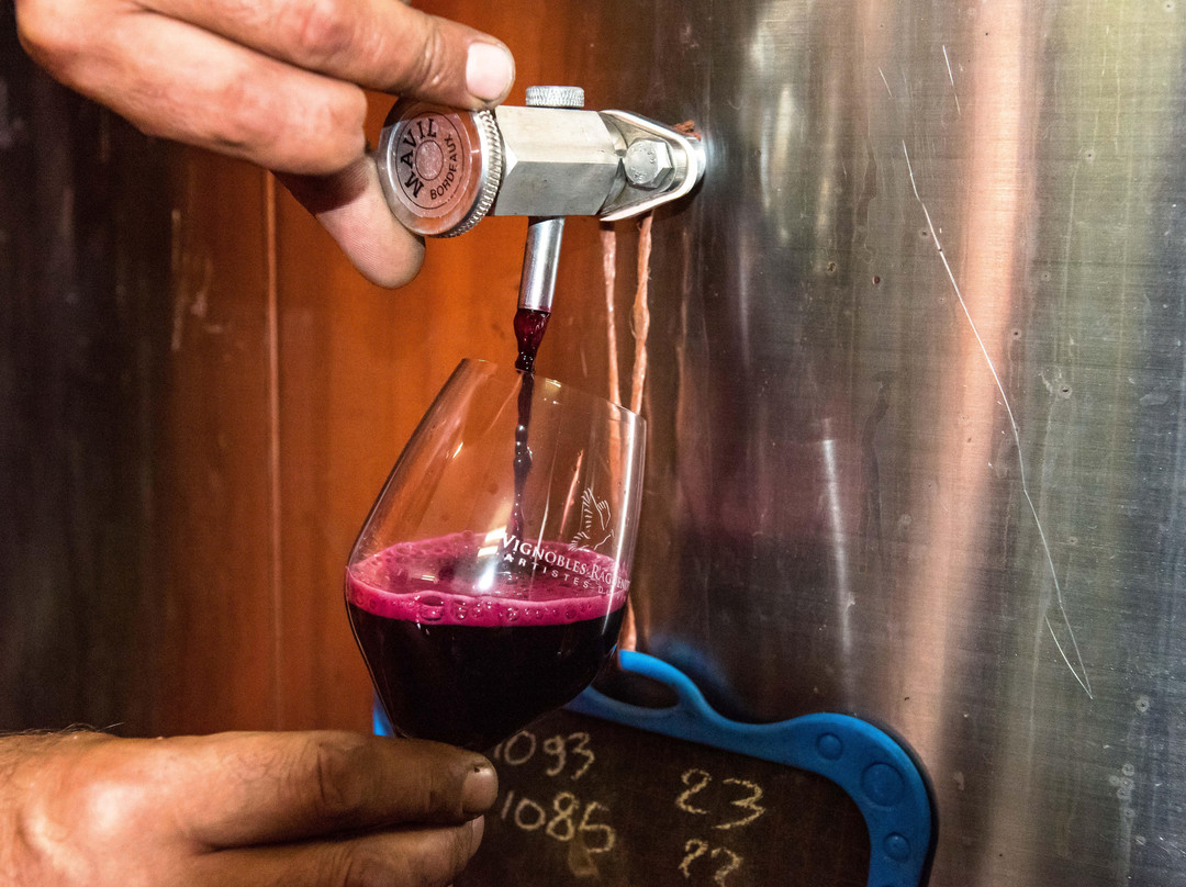 Millésime Privé-波尔多必去景点