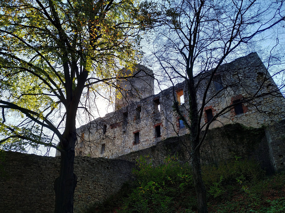 Lipowiec Castle景点图片