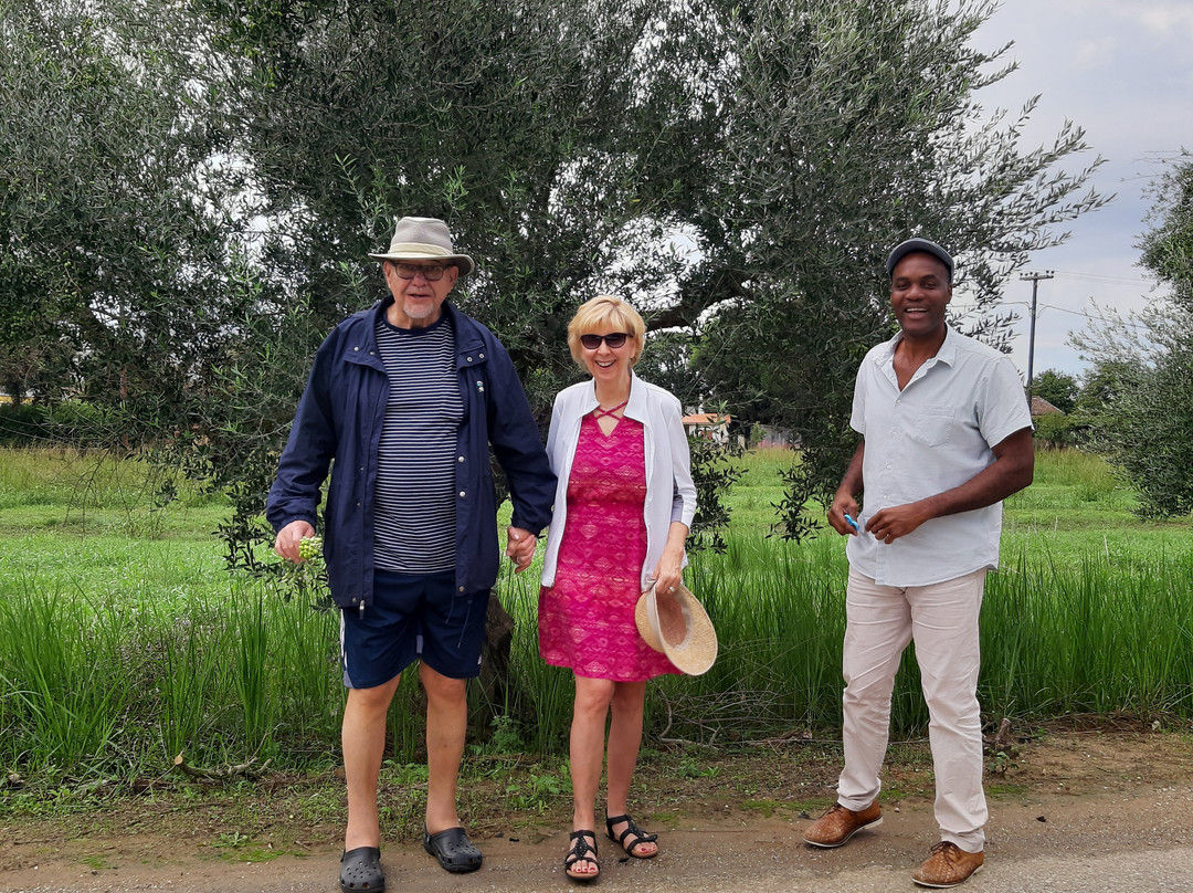 Archea Ilida旅游攻略图片