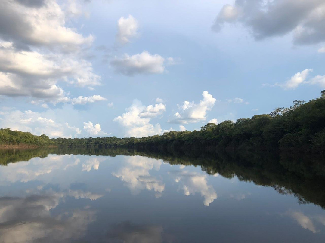 Em Cantos Da Amazonia