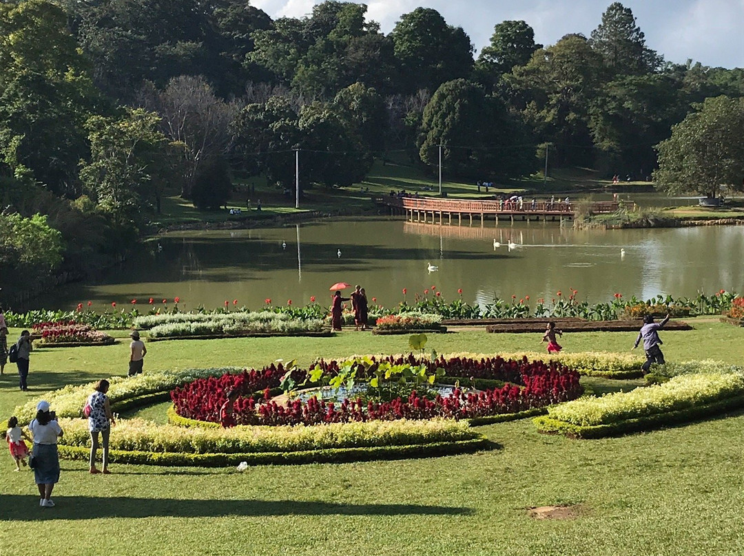 National Kandawgyi Botanical Gardens景点图片
