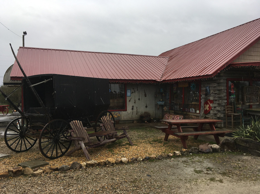 The Amish Hippie景点图片