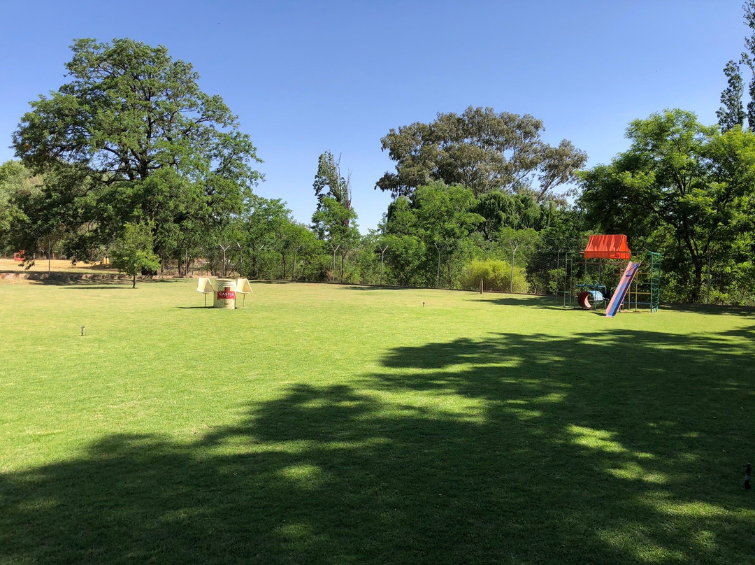 Cheetah Pub And Grill