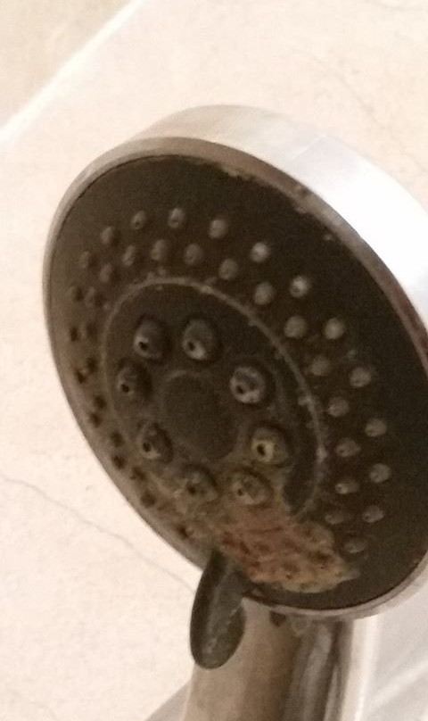 沃特曼斯阿姆斯赫舍姆酒店
