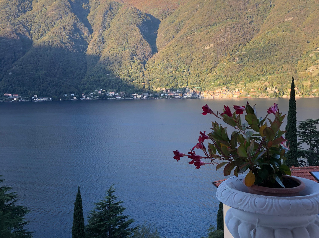 Briisa De Ness主图