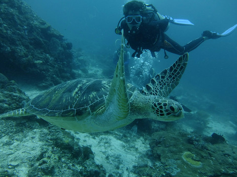 Jaimes Dive Center-拉普拉普必去景点