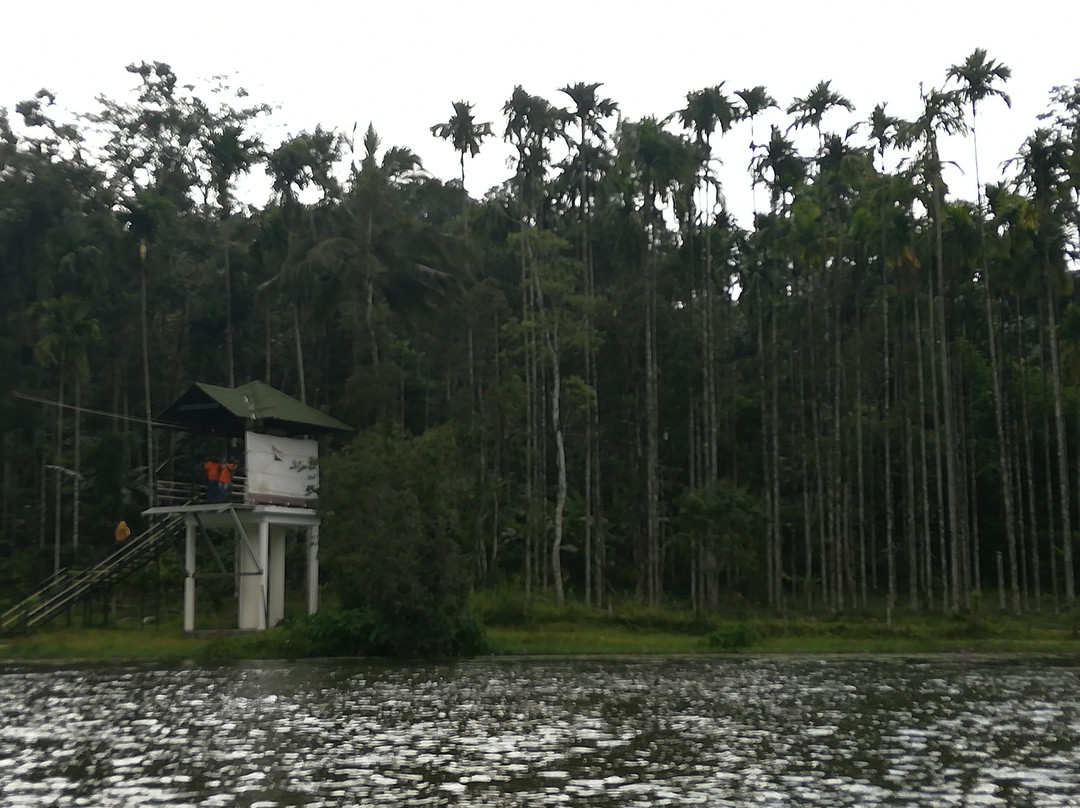 Karalad Lake-Thariyode必去景点