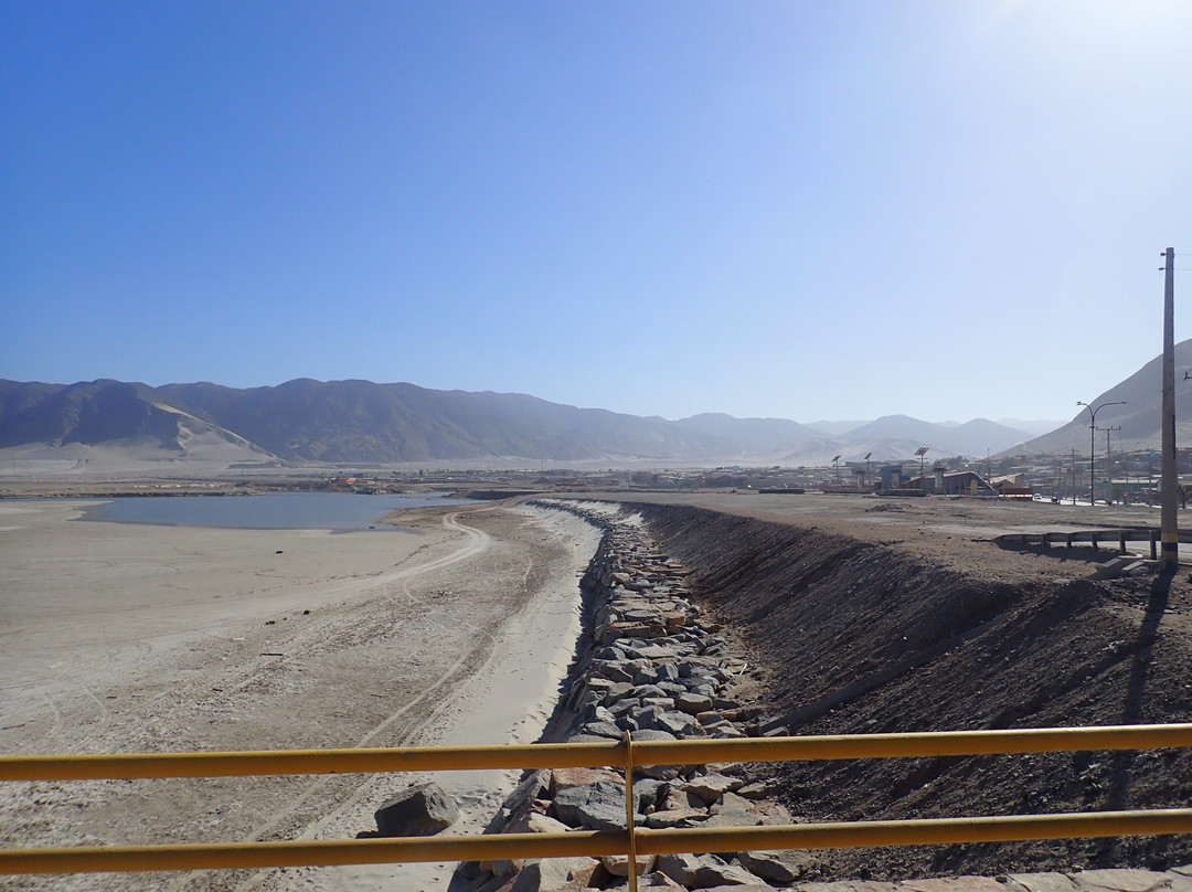 Sugar Bread Hostel主图