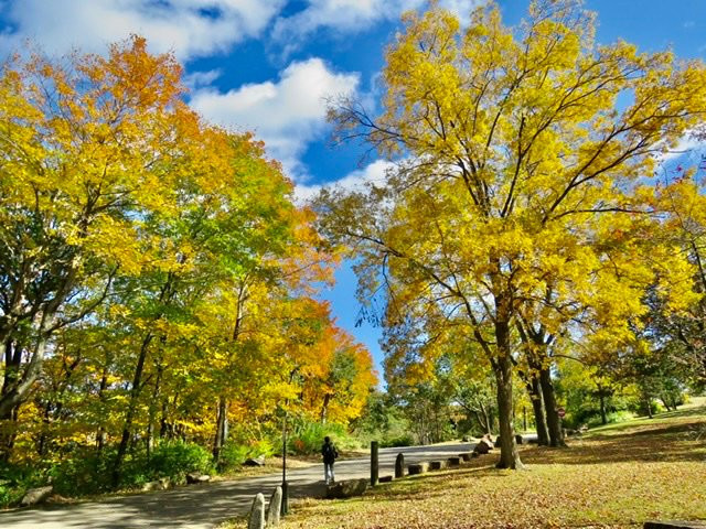 East Rock Park景点图片