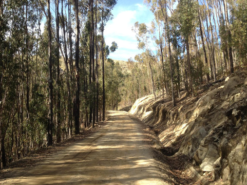 Yampu Tours-科帕卡巴纳必去景点