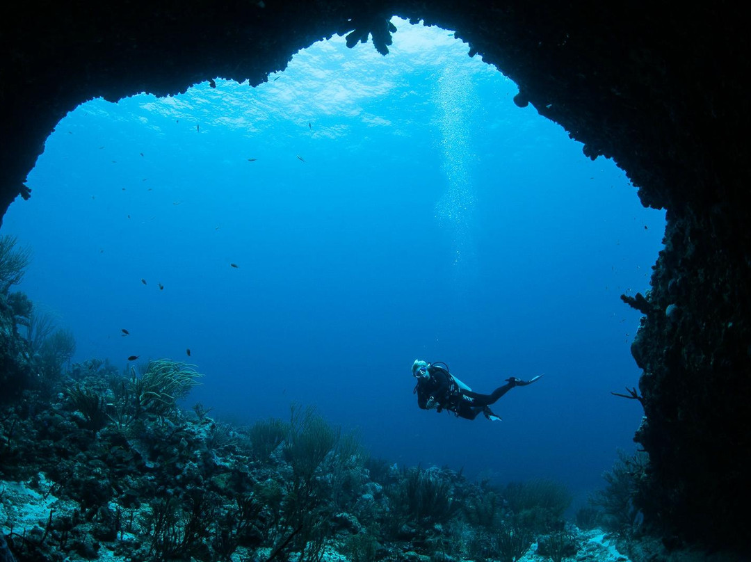 Dive Charter Curacao-威廉斯塔德必去景点