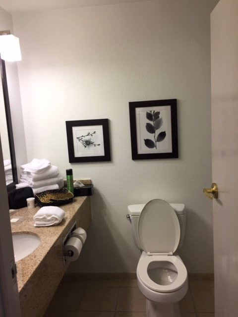 Country Inn & Suites by Radisson, Madison West, WI主图