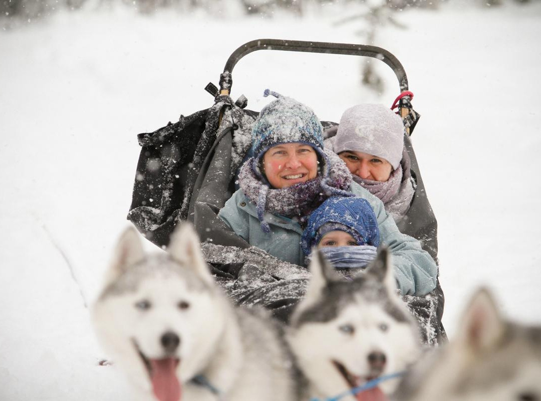 Golden Dog Sled Adventures-戈尔登必去景点