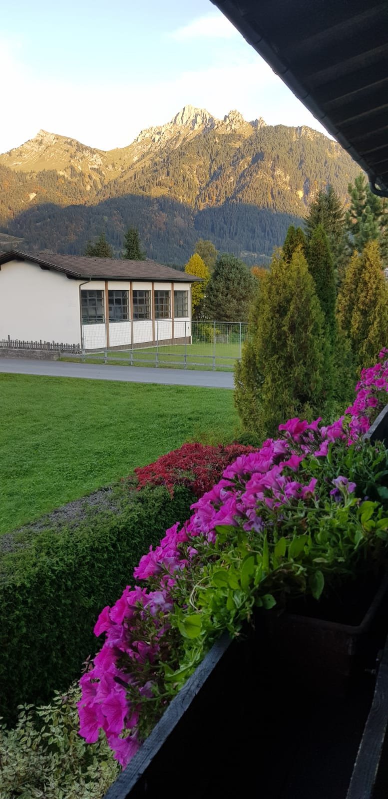 Pension Hohenrainer-酒店景观